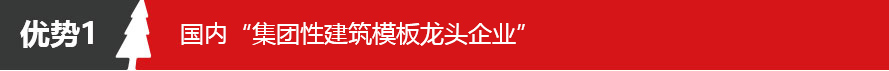 五棵松牌清水模板 大板 18